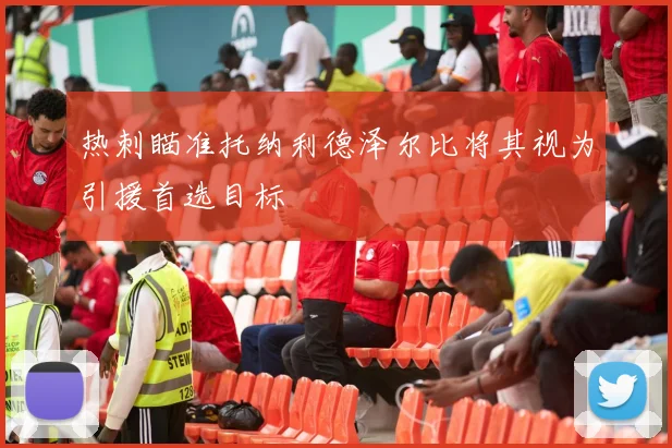 热刺瞄准托纳利德泽尔比将其视为引援首选目标