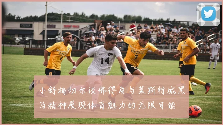 小舒梅切尔谈佛得角与莱斯特城黑马精神展现体育魅力的无限可能